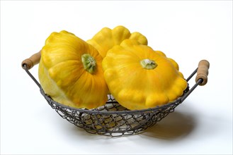 Yellow patisson pumpkins in wire basket