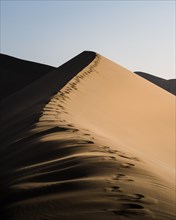 Footprints Gobi Desert