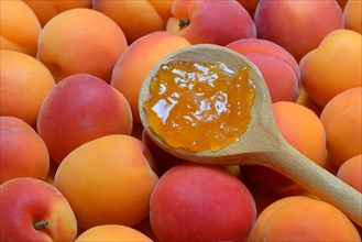 Apricot jam in cooking spoon and apricots
