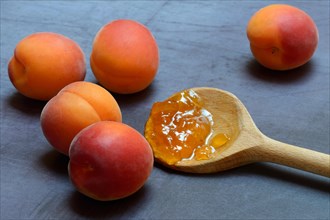 Apricot jam in cooking spoon and apricots