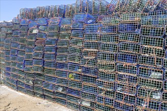 Basket fish traps for crab and lobster fishing in the Atlantic Ocean