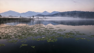 Sunrise with wafts of mist over the Lake Turnersee