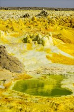 Geothermal area with sulphur deposits and acidic brine