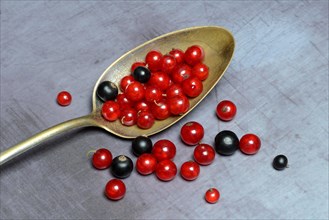 Red currants and black currants in spoon