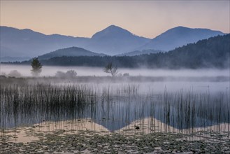 Sunrise with wafts of mist over the Lake Turnersee