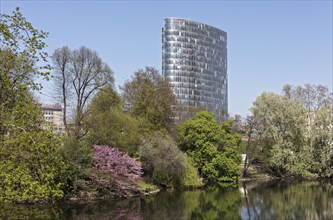 Schwanenspiegel in spring