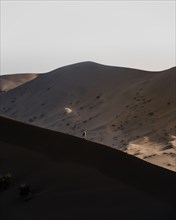 A lonely desert wanderer in the Gobi Desert