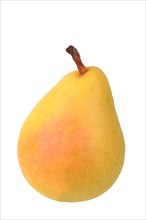 Pear variety