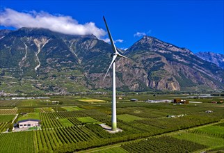 Largest wind turbine in Switzerland amidst fruit orchards in the Rhone Valley