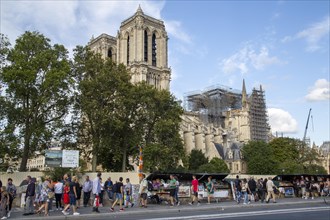 Scaffolded cathedral Notre-Dame de Paris