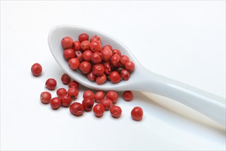 Pink berries in spoon