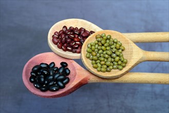 Black and red beans and green mung beans on wooden spoon