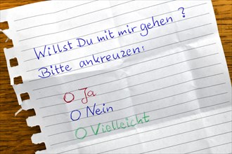 Love note with the question: Will you go with me? Please tick the box. Baden-Wuerttemberg