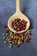 Red beans and green mung beans on wooden spoon