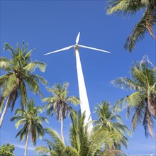 Wind turbine surrounded by palm trees