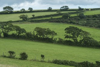 Typical Cornish landscape with meadows