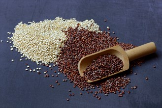 White and red Quinoa