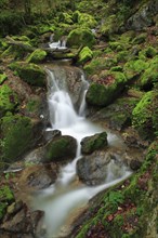 Twannbach Gorge