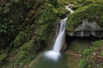 Twannbach Gorge