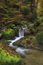 Twannbach Gorge