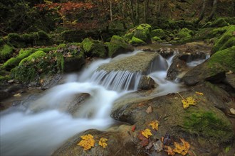 Twannbach Gorge