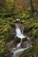 Twannbach Gorge