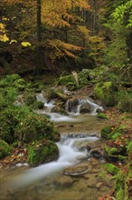 Twannbach Gorge