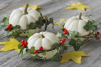 Autumnal decoration