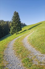 Field path on the Raten Pass