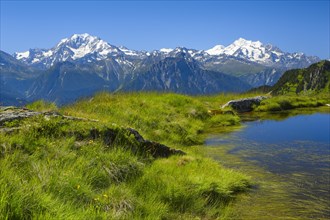 Swiss Alps