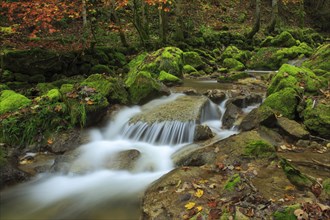 Twannbach Gorge