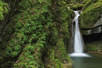 Twannbach Gorge