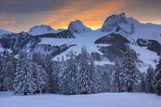 Swiss Alps