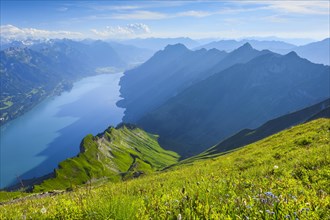 View from the Brienzer Rothorn