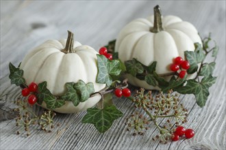 Autumnal decoration
