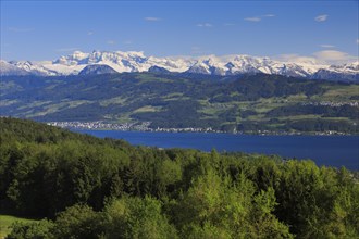 Lake Zurich and Glaernisch