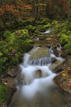 Twannbach Gorge