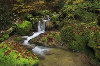 Twannbach Gorge