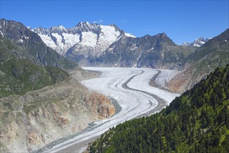 Bathtub horns and Aletsch Glacier