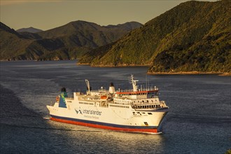 Arriving ferry from the North Island at sunset