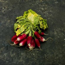 Close-up of fresh radishes