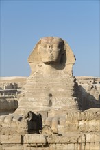 The great Sphinx
