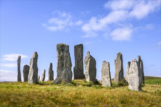 Callanish Standing Stones