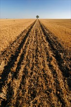 Freshly ploughed and harrowed track in the stubble field