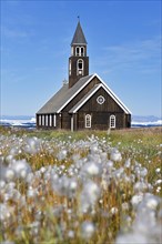 Cottongrass