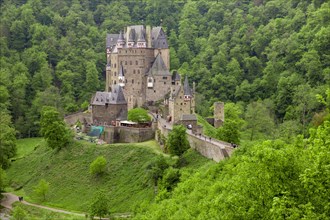 Burg Eltz surrounded by green forest