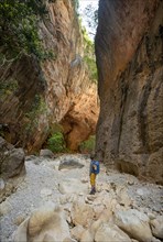 Hiker stands in a gorge