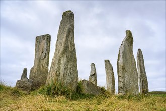 Callanish Standing Stones