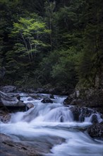 River in the Groppenstein Gorge