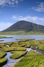 Marsh landscape near Northton with Ceapabhal Hill